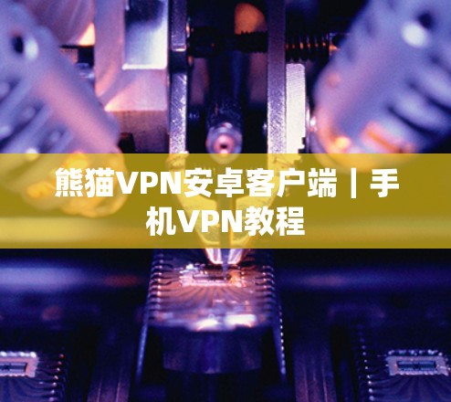熊猫VPN安卓客户端｜手机VPN教程