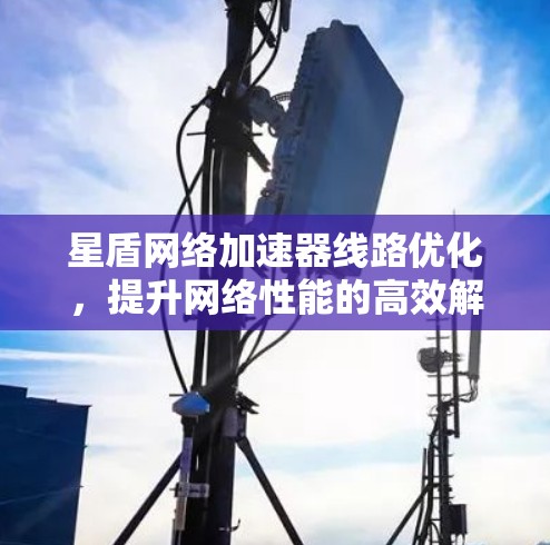 星盾网络加速器线路优化，提升网络性能的高效解决方案