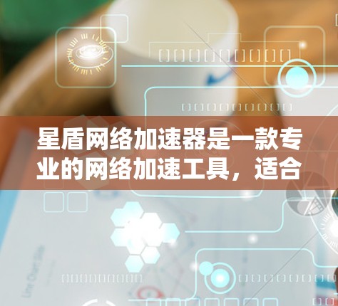 星盾网络加速器是一款专业的网络加速工具，适合需要快速下载大量资源的用户。以下是对该工具的详细指南
