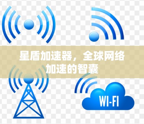星盾加速器，全球网络加速的智囊