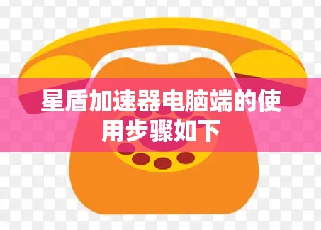 星盾加速器电脑端的使用步骤如下