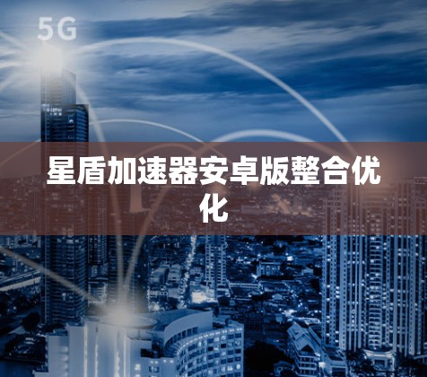 星盾加速器安卓版整合优化