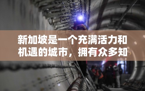 新加坡是一个充满活力和机遇的城市，拥有众多知名节点和机构，适合各种需求。以下是一些新加坡节点和推荐信息，供你参考