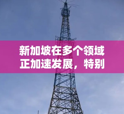 新加坡在多个领域正加速发展，特别是在科技、金融、医疗和基础设施等领域。以下是一些新加坡加速发展的主要领域