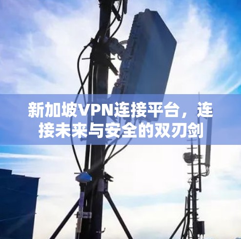 新加坡VPN连接平台，连接未来与安全的双刃剑