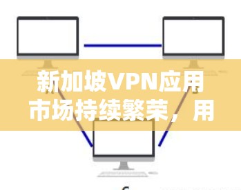 新加坡VPN应用市场持续繁荣，用户需求与需求匹配