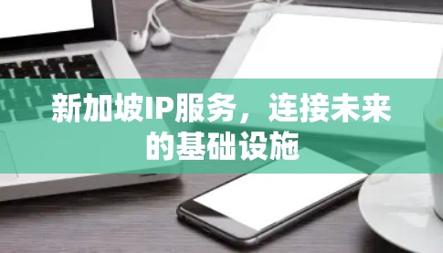 新加坡IP服务，连接未来的基础设施
