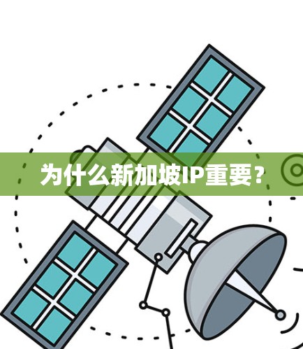 为什么新加坡IP重要？
