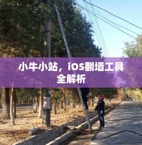 小牛小站，iOS翻墙工具全解析