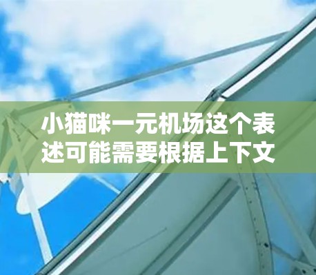 小猫咪一元机场这个表述可能需要根据上下文来理解，但结合常见的用法，可能是指宠物在机场的使用服务。以下是一些可能的解释和信息