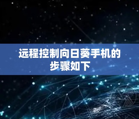 远程控制向日葵手机的步骤如下