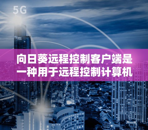 向日葵远程控制客户端是一种用于远程控制计算机的工具，允许用户通过互联网连接到计算机或服务器，执行特定命令或操作。它通常用于远程启动、运行特定命令或打开特定应用。以下是向日葵远程控制客户端的设置步骤