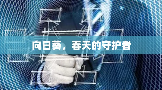 向日葵，春天的守护者