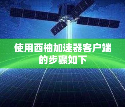 使用西柚加速器客户端的步骤如下