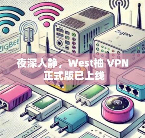 夜深人静，West柚 VPN 正式版已上线