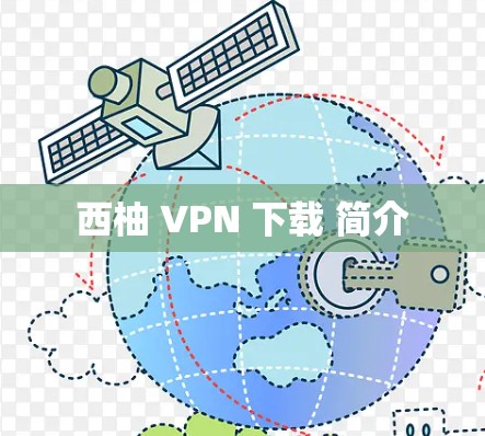 西柚 VPN 下载 简介