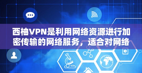 西柚VPN是利用网络资源进行加密传输的网络服务，适合对网络加密感兴趣或需要测试网络连接的用户。以下是一步步的使用教程