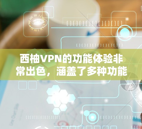 西柚VPN的功能体验非常出色，涵盖了多种功能选项，适合普通用户和偶尔使用的用户。以下是对功能体验的详细介绍