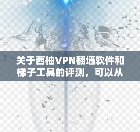 关于西柚VPN翻墙软件和梯子工具的评测，可以从以下几个方面进行