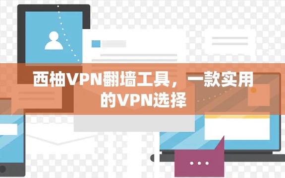 西柚VPN翻墙工具，一款实用的VPN选择