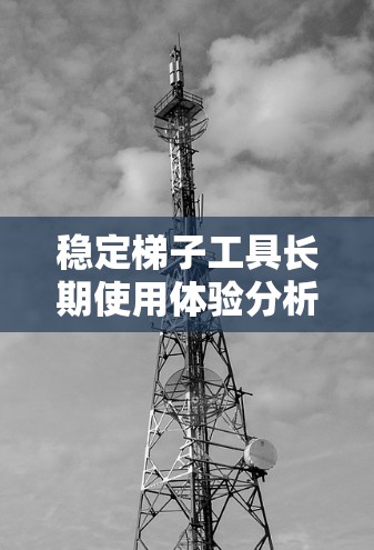 稳定梯子工具长期使用体验分析