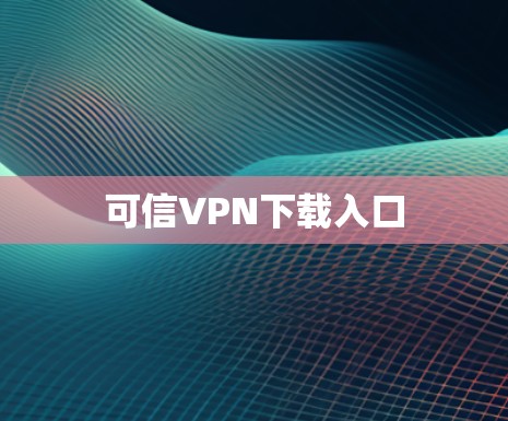 可信VPN下载入口