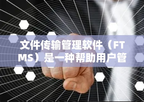 文件传输管理软件（FTMS）是一种帮助用户管理文件传输的工具，支持上传、下载和存储文件。以下是对该软件的详细介绍