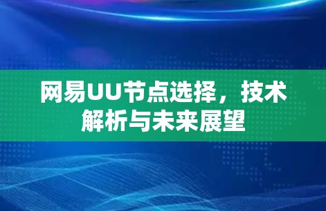 网易UU节点选择，技术解析与未来展望
