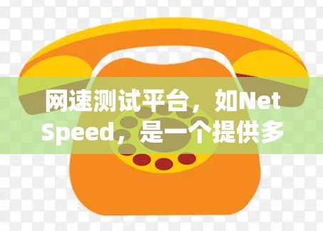 网速测试平台，如NetSpeed，是一个提供多种网络性能测试和分析工具的公司。以下是对该平台的主要功能和服务的详细说明