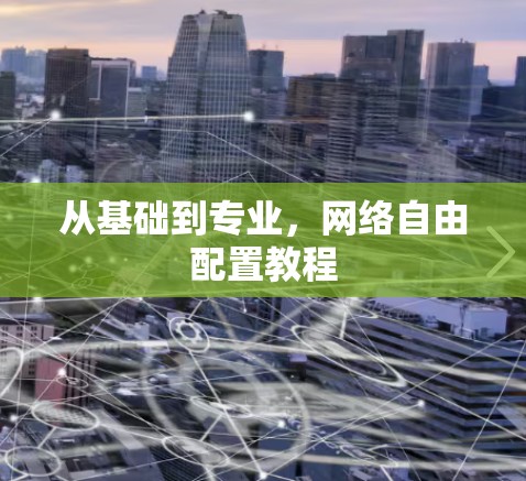 从基础到专业，网络自由配置教程