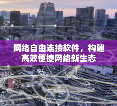网络自由连接软件，构建高效便捷网络新生态