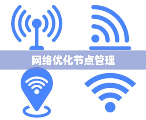 网络优化节点管理