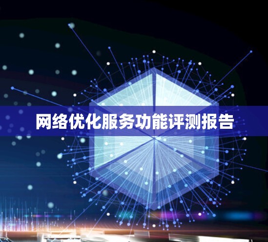 网络优化服务功能评测报告