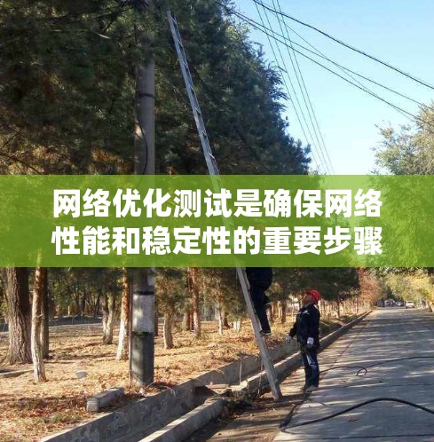 网络优化测试是确保网络性能和稳定性的重要步骤，以下是详细的学习总结和步骤说明