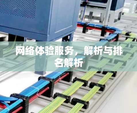 网络体验服务，解析与排名解析