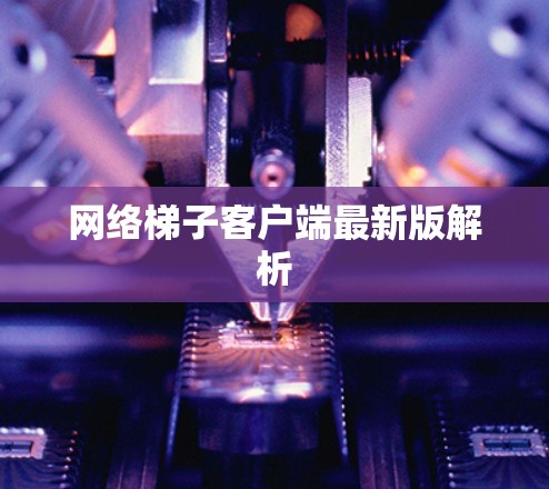 网络梯子客户端最新版解析