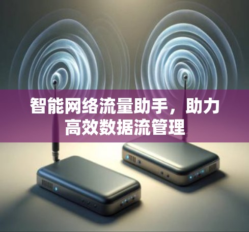 智能网络流量助手，助力高效数据流管理