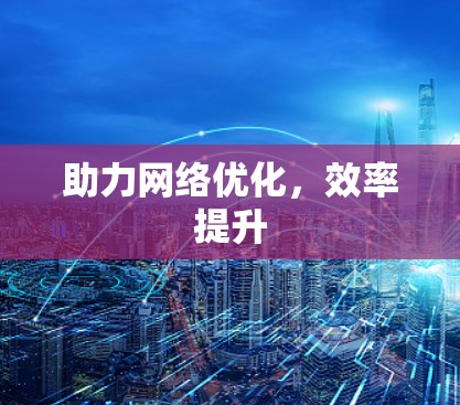助力网络优化，效率提升