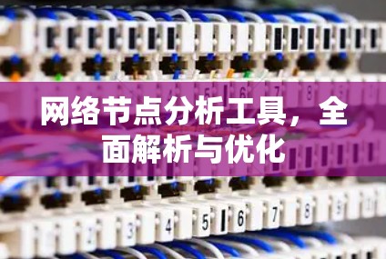 网络节点分析工具，全面解析与优化