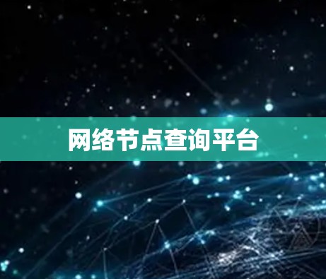 网络节点查询平台