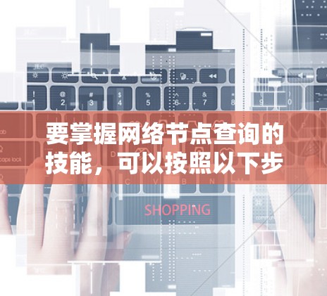 要掌握网络节点查询的技能，可以按照以下步骤进行