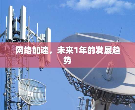 网络加速，未来1年的发展趋势