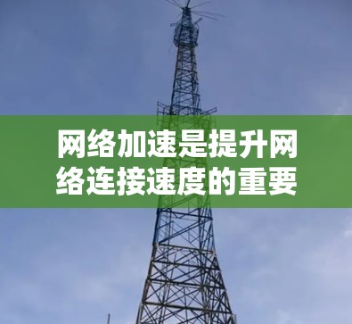 网络加速是提升网络连接速度的重要工具，了解其设置方法可以显著改善用户体验。以下是对网络加速设置的详细步骤和建议