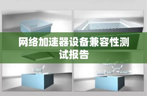 网络加速器设备兼容性测试报告