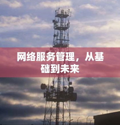 网络服务管理，从基础到未来