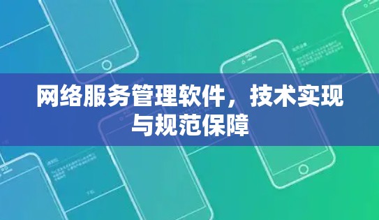 网络服务管理软件，技术实现与规范保障