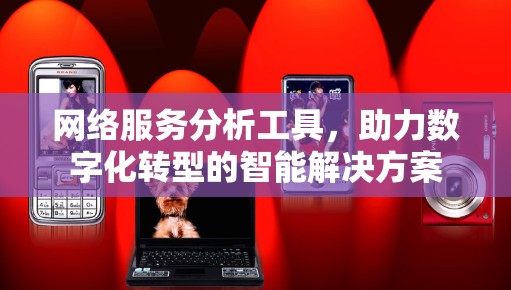 网络服务分析工具，助力数字化转型的智能解决方案
