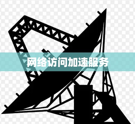网络访问加速服务