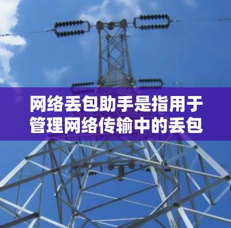 网络丢包助手是指用于管理网络传输中的丢包问题的工具或服务。丢包是指网络传输过程中数据丢失的情况，通常由网络设备、传输协议或网络环境本身导致。网络丢包助手可以帮助减少丢包的发生，提高网络传输的稳定性