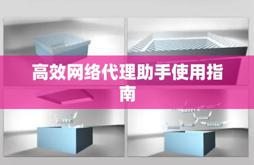 高效网络代理助手使用指南